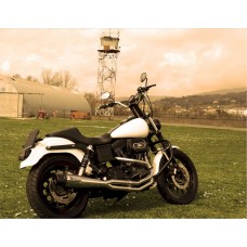Mohican Exhaust by Arrow for the Harley Davidson Dyna 1991-2004